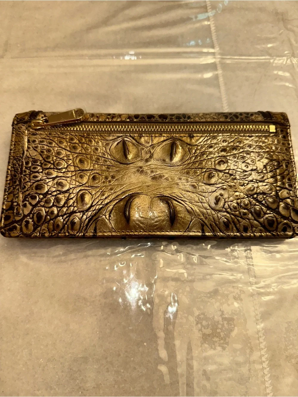 Brahmin sleek ady